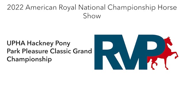 AR22 - Class 121 - UPHA Hackney Pony ...