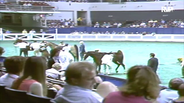 1991 WCHS Class 16 ASHA National Thre...