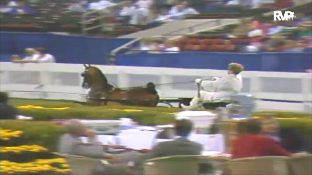 1992 WCHS Class 109 Hackney Pony Driv...