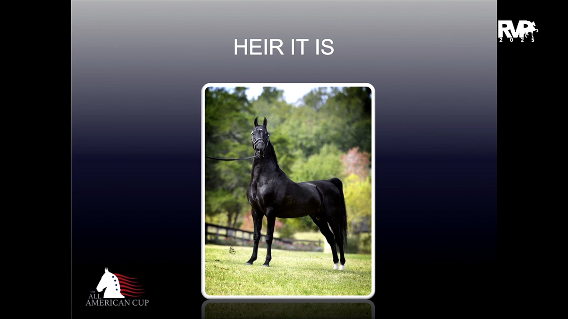 AASA25 7. HEIR IT IS, & 8. A RARE TEMPER (WC) 