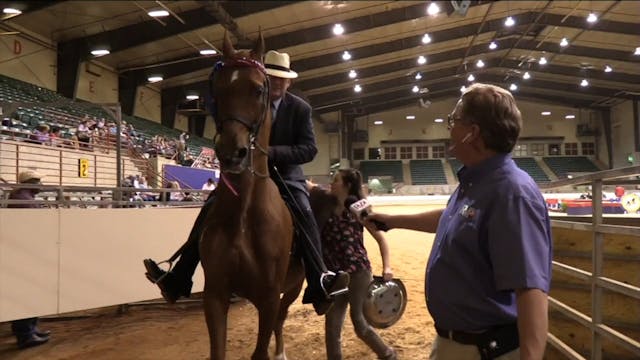 ProAm19 - Class 99 - A New View Champ...