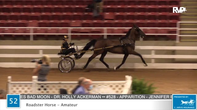 2020 ASF - Class 52 Roadster Horse Am...