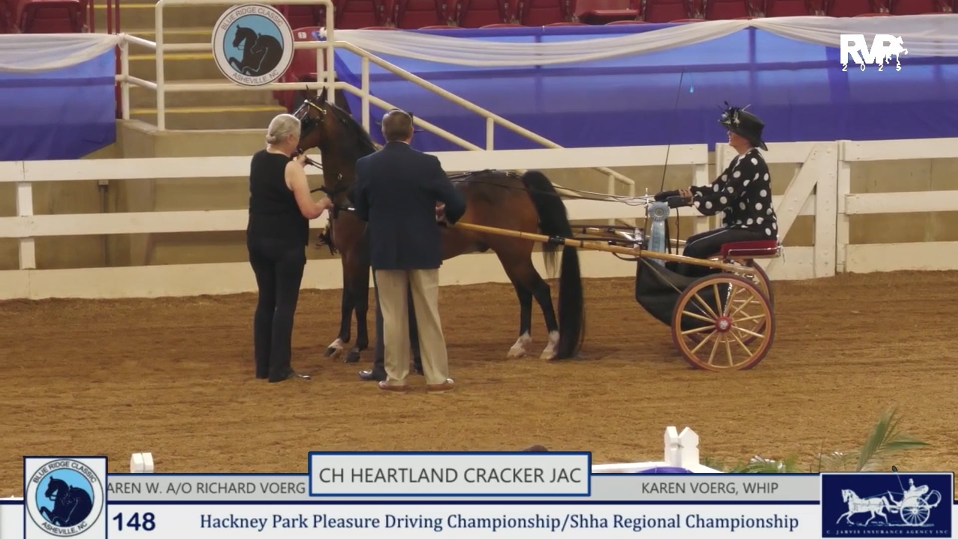 BRC25 - Class 148 - Hackney Park Pleasure Driving Championship & SHHA Regional Championship