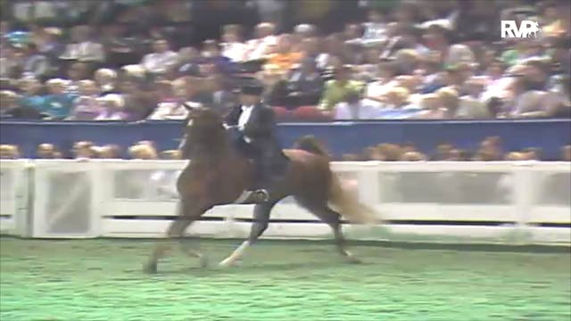 1992 WCHS Class 167 Three Gaited Gran...