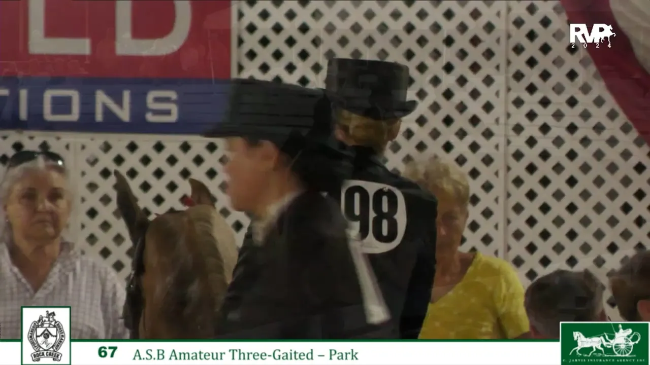 RC24 - Class 67 - ASB Amateur Three Gaited Park - Richfield Video Archive