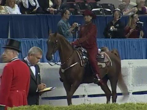 2008 WCHS Class 200 Western Pleasure ...