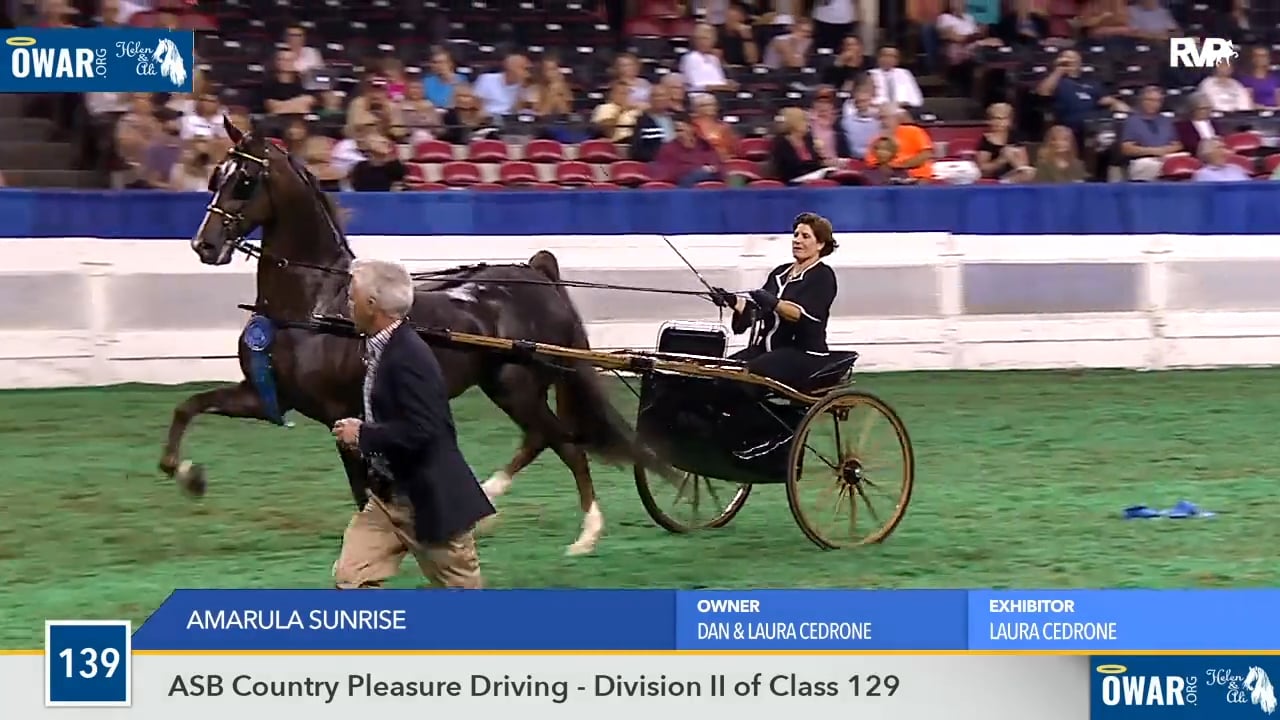 WCHS18 Class 139 - Amarula Sunrise