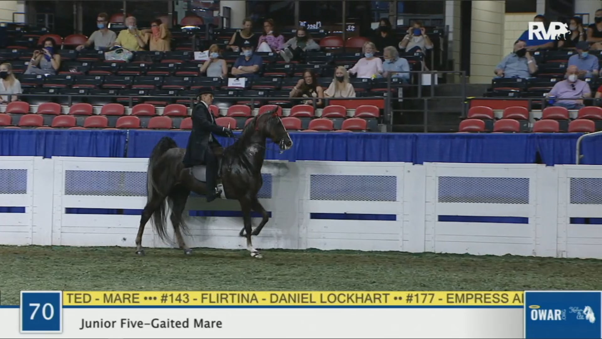 WCHS 2020 Class 70 - Junior Five-Gaited Mare