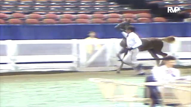 1991 WCHS Class 84 ASHA Amateur Futur...