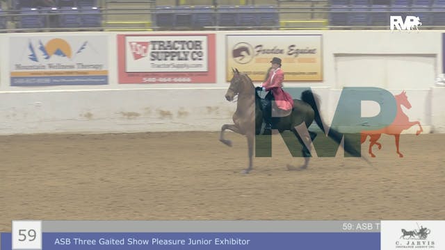 BB22 - Class 59 -  ASB Three Gaited S...