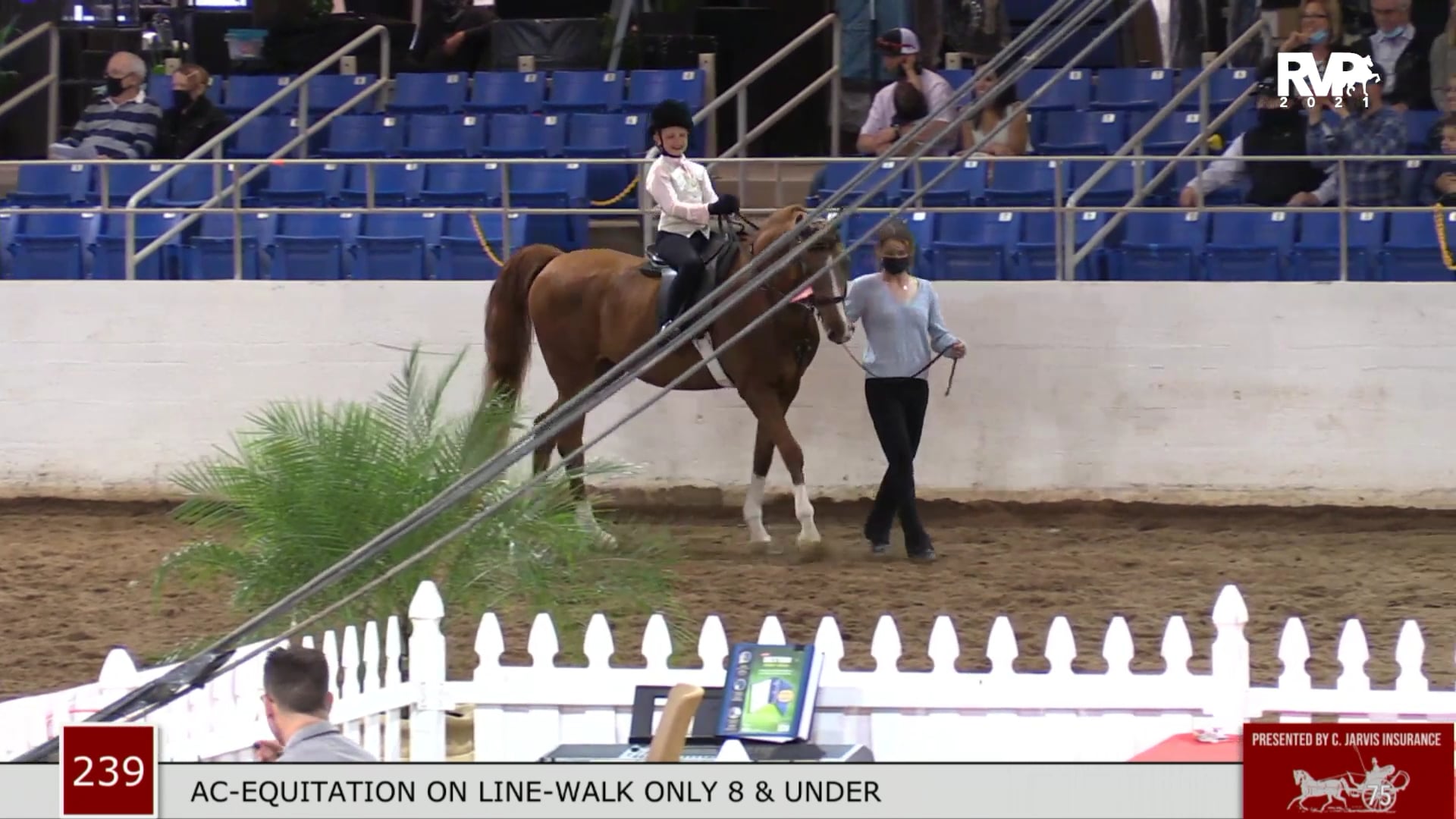 CC21 - Class 239 & 240 Academy Equitation & Showmanship - On Line - Walk Only - 8 & Under
