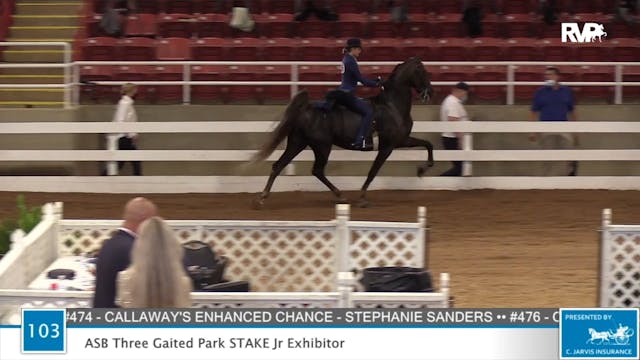 2020 ASF - Class 103 ASB Junior Exhib...