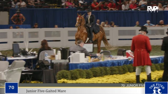 WCHS24 - Class 70 - Jr Five Gaited Mare