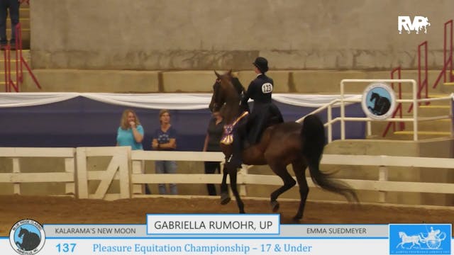 BR24 - Class 137 - Gabriella Rumohr, ...