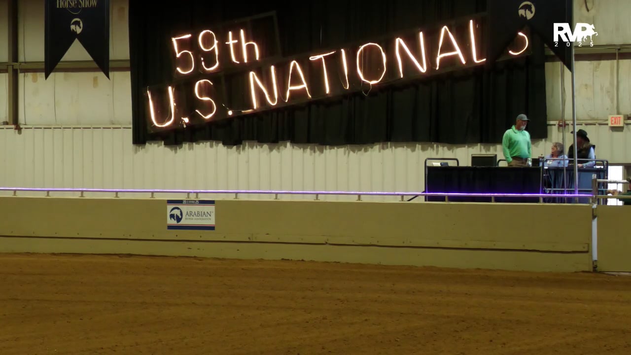 2025 Arabian Nationals - Wednesday Afternoon Part 2 - Mustang