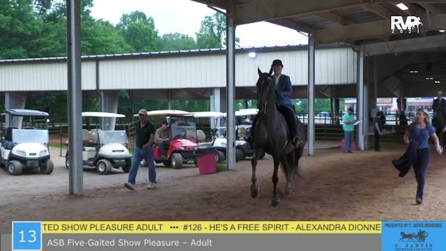 BR21 - Class 13 - ASB Five Gaited Sho...