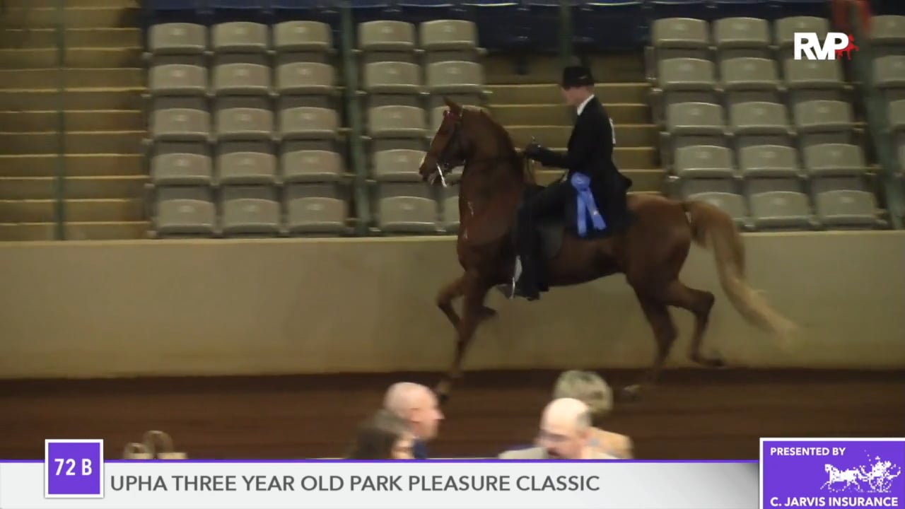 SSFF18 - Class 72B - Honor Code