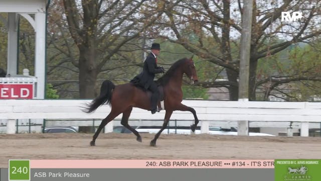 SB21 - Class 240 - ASB Park Pleasure