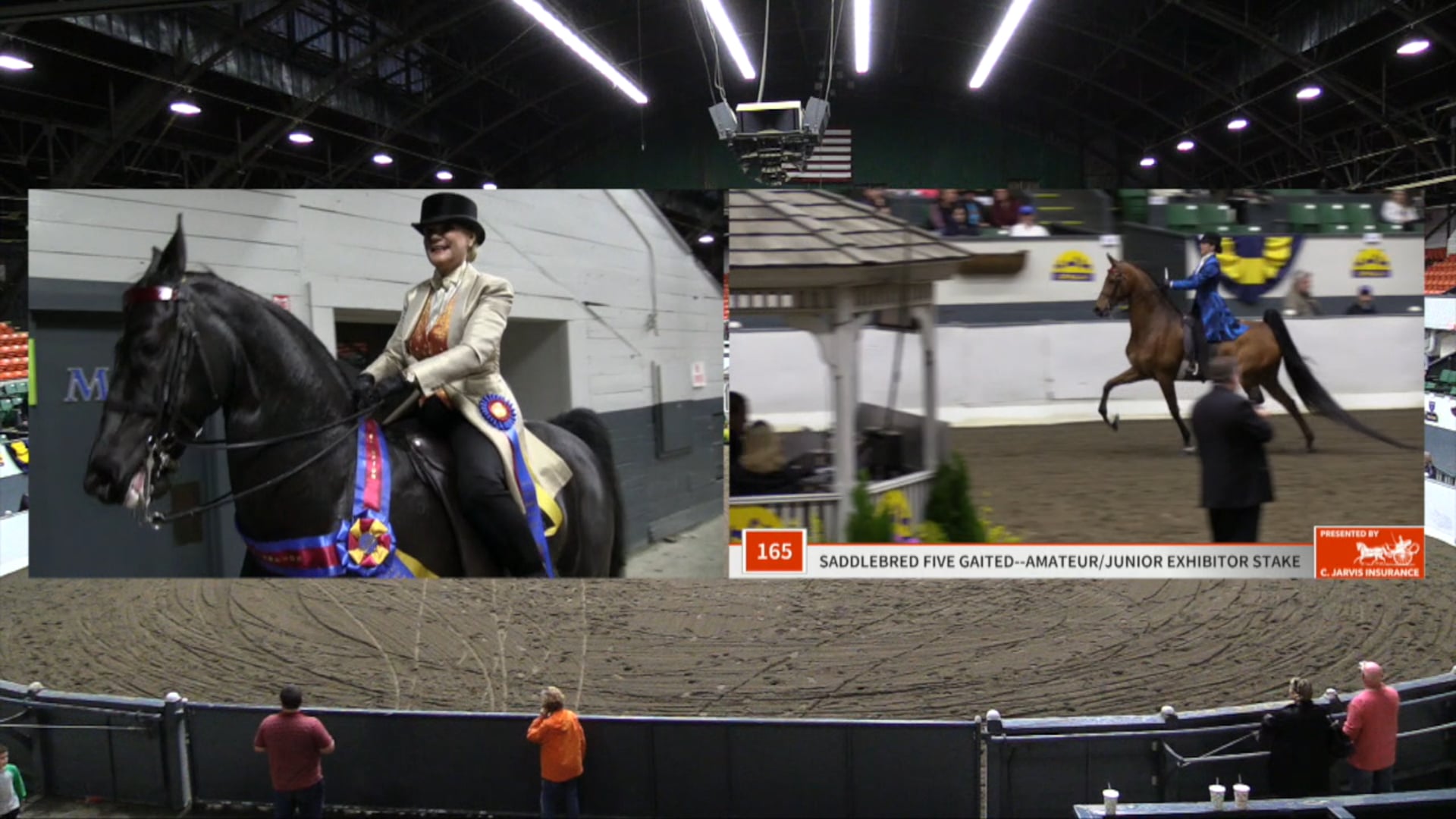 UPHA14-19 - Class 164 - Dragonsmeade Anthracite Championship