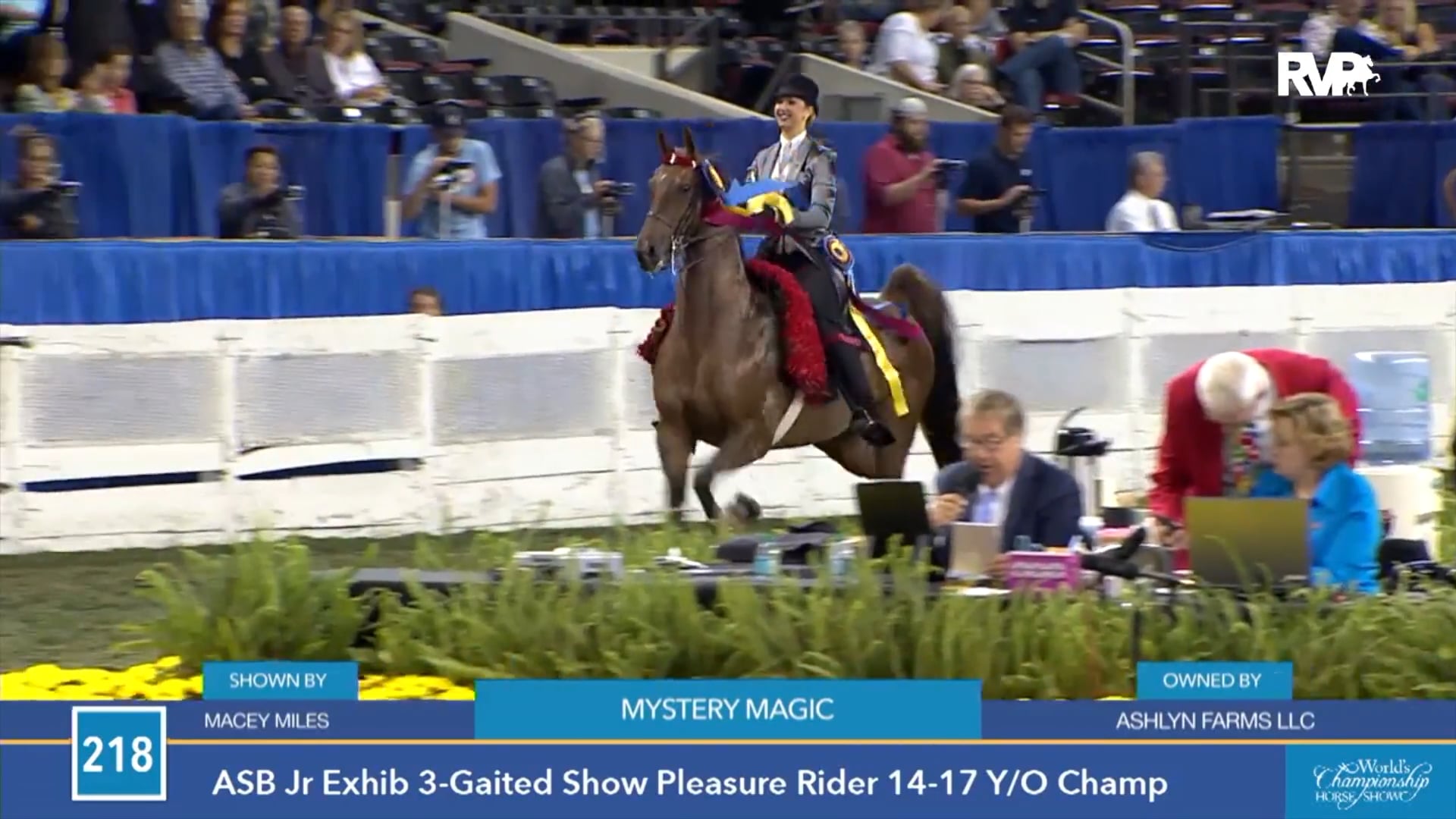 A Visit To Milestone Stables