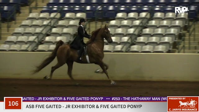 2020 SSFF - Class 106 ASB Five Gaited...