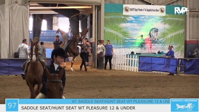 GASP23 - Class 97 - Saddle Seat-Hunt ...