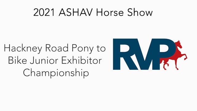 ASHAV21 - Class 98 - Hackney Road Pony to Bike Junior Exhibitor Championship