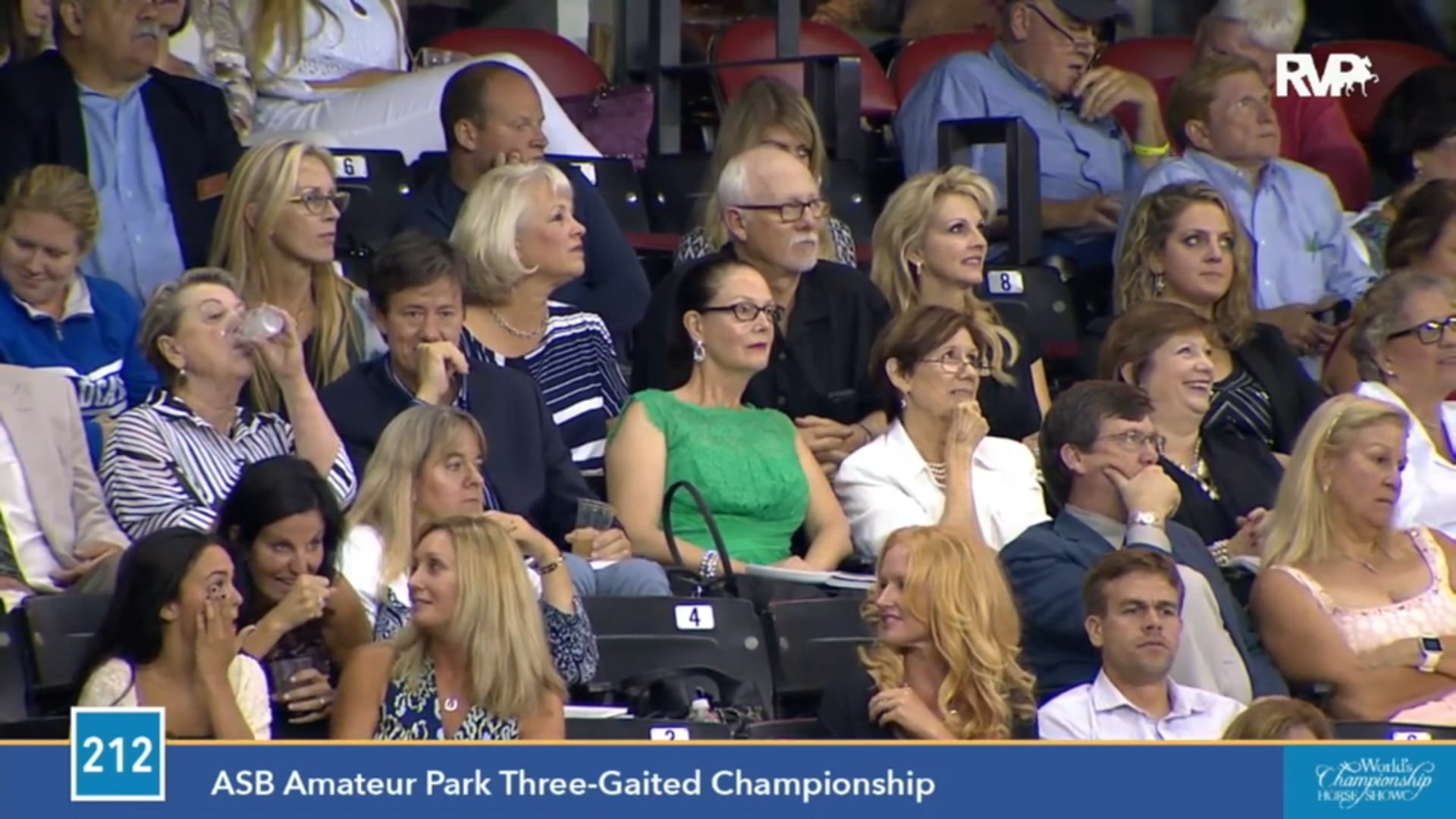 2015 WCHS - Class 212 ASB Amateur Park Three Gaited Championship