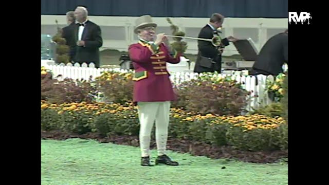 1996 WCHS Class 47 Amateur Fine Harne...
