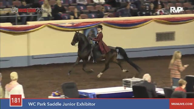 2015 MGN - Class 181 WC Park Saddle J...