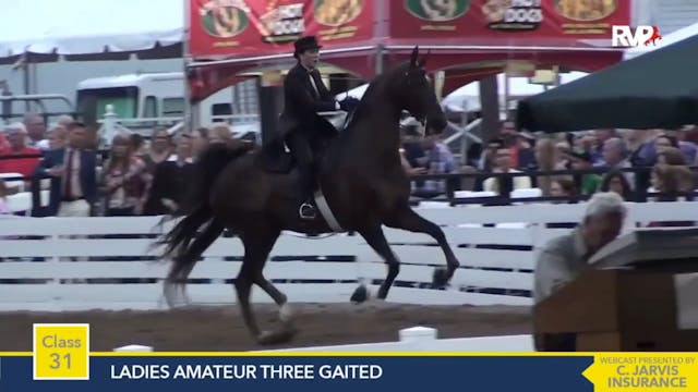 2015 RC - Class 31 Ladies Amateur Thr...