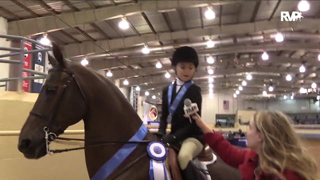 MGN19 - Boxford Unbridled Passion GCH...