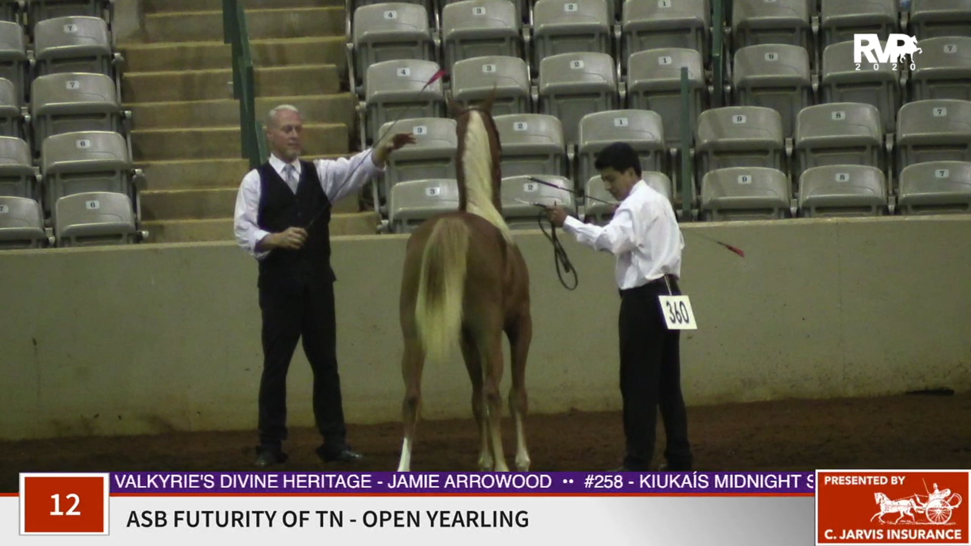 2020 SSFF - Class 12 ASB Futurity of TN - Open Yearling