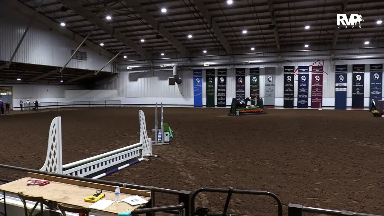 2025 Morgan Grand National - Tuesday Morning - Barn 8