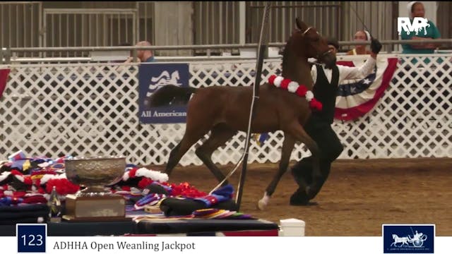AAC23 - Friday Evening Recap
