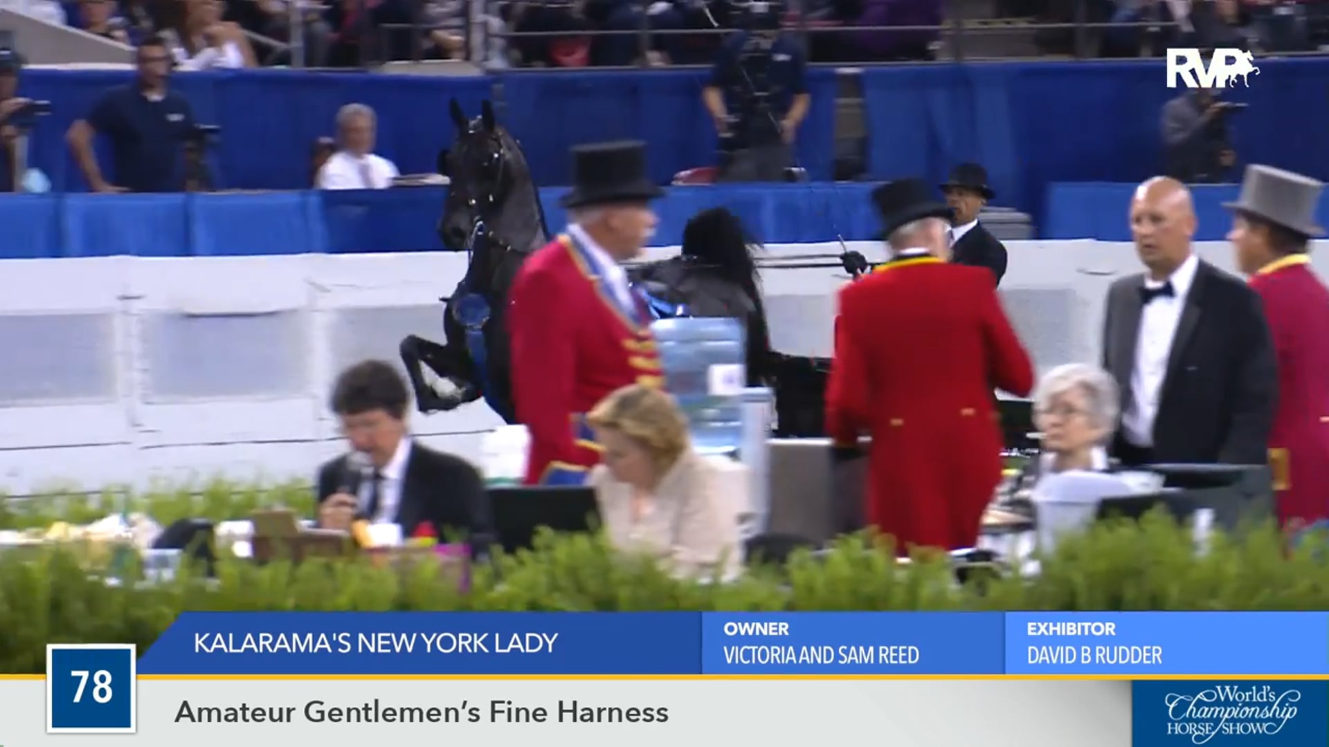 WCHS16 - Kalarama's New York Lady 