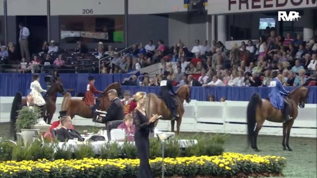 2012 WCHS - Class 172 Three Gaited Po...