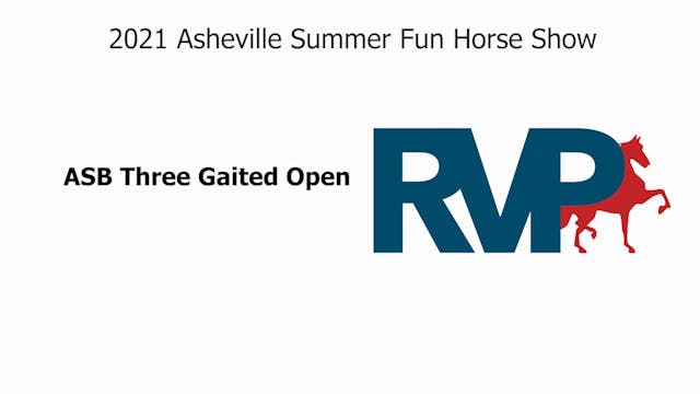 ASF21 - Class 16 - ASB Three Gaited Open