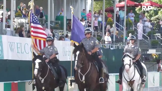 BRC25 - Class 196 - ASB Three Gaited ...