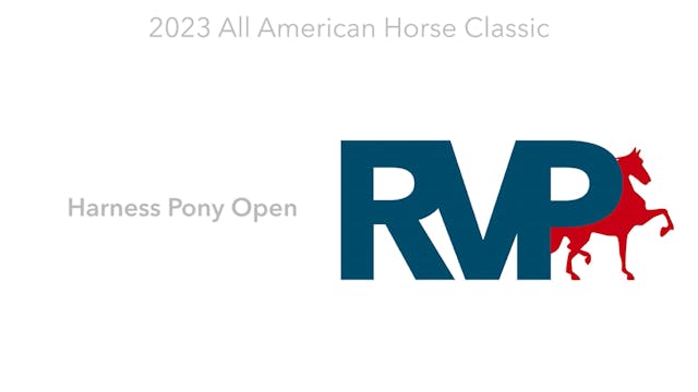 AAC23 - Class 9 - Harness Pony Open