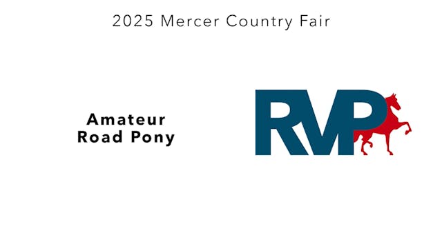 MCF25 - Class 14 - Amateur Road Pony