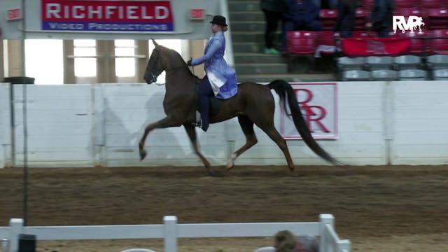 RR22 - Class 10 -  ASB Three Gaited E...