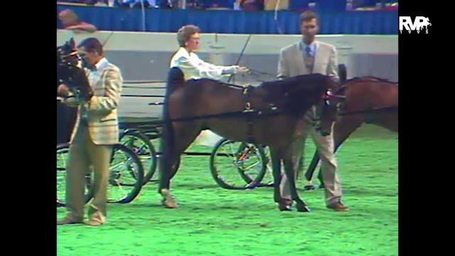1995 WCHS - Class 23 -  Kentucky Coun...