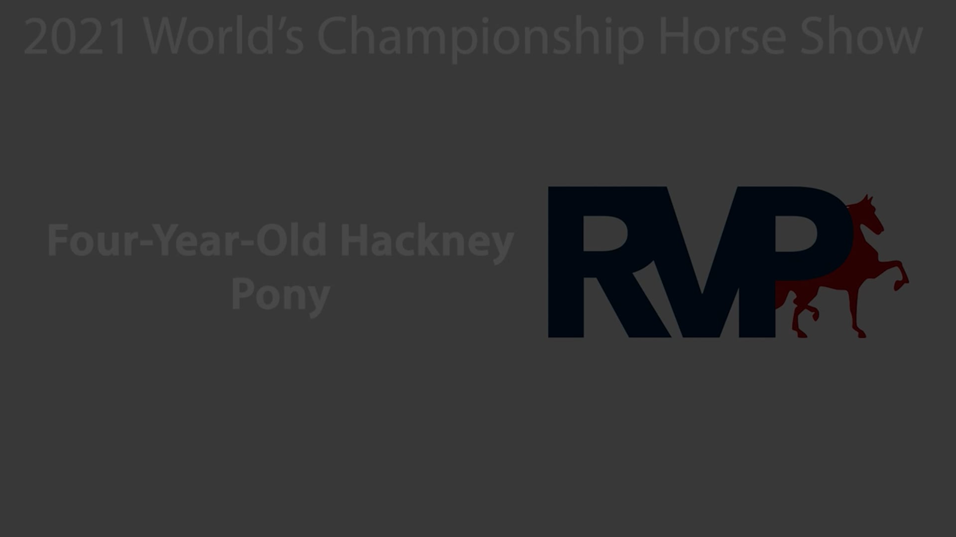 WCHS21 - Class 90 - Four-Year-Old Hackney Pony