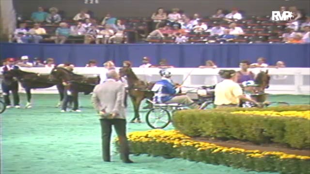 1992 WCHS Class 23 AHHS Futurity Thre...