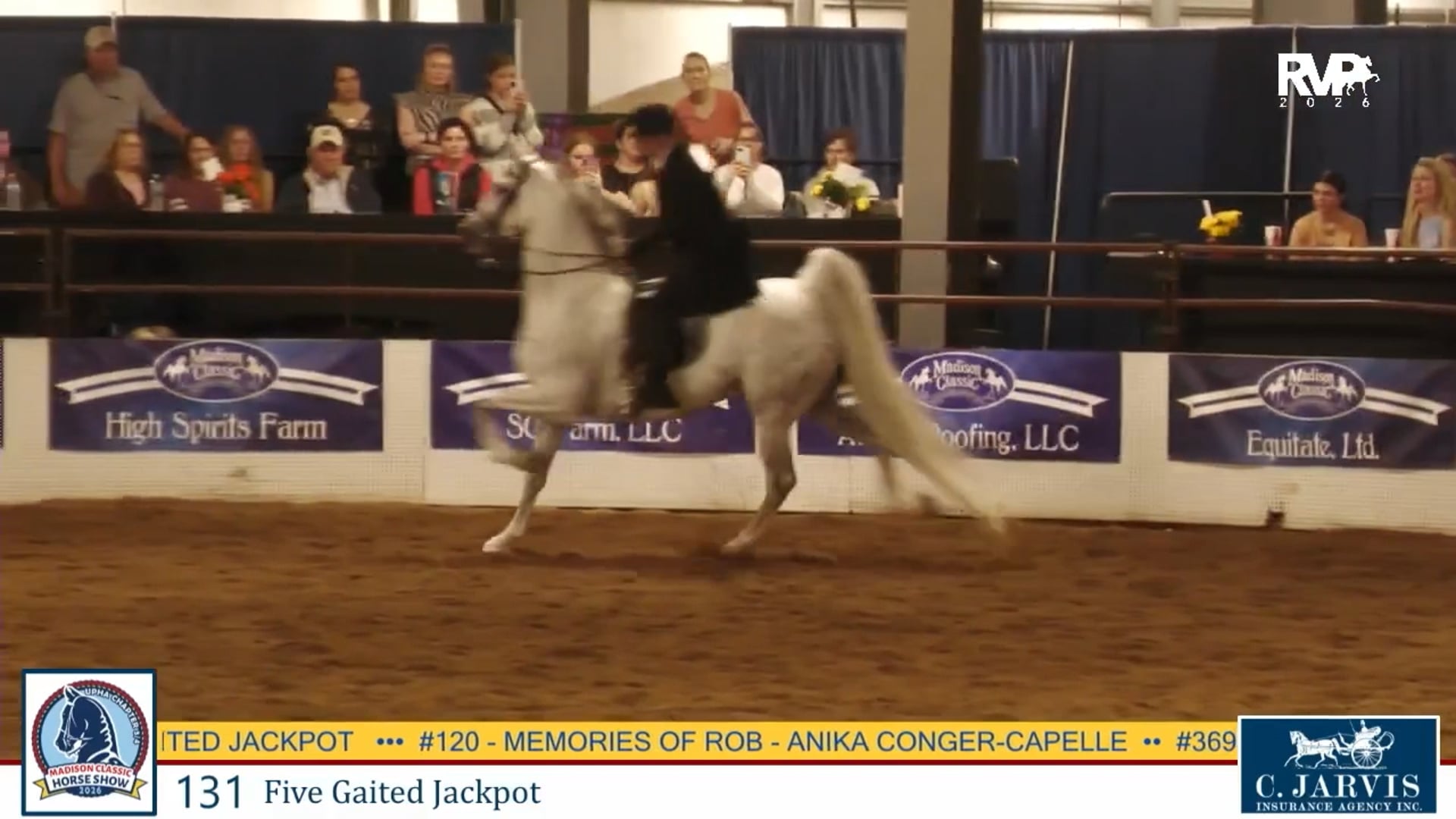 MC26 - Class 131 - Five Gaited Jackpot