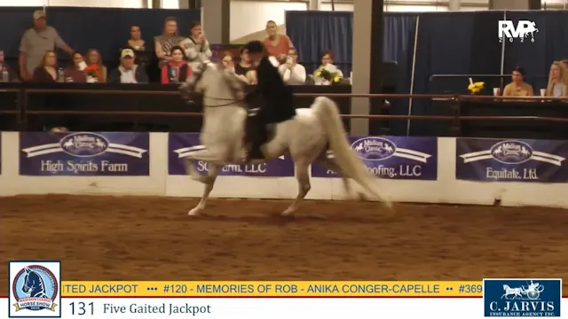 MC26 - Class 131 - Five Gaited Jackpot
