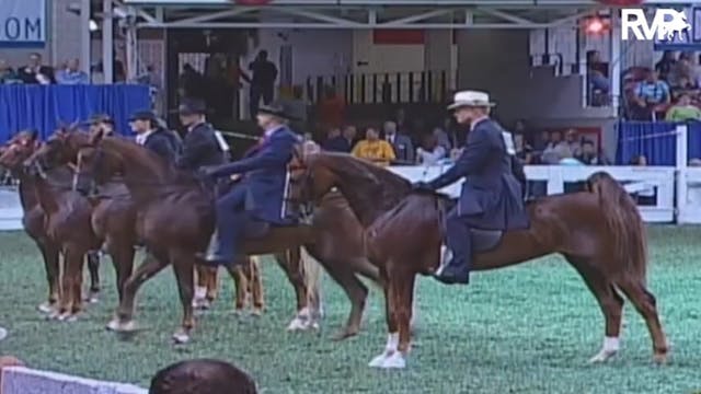 2009 World's Championship Horse Show ...