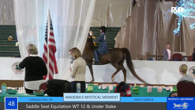 GASP21 - Class 48 - Saddle Seat Equit...
