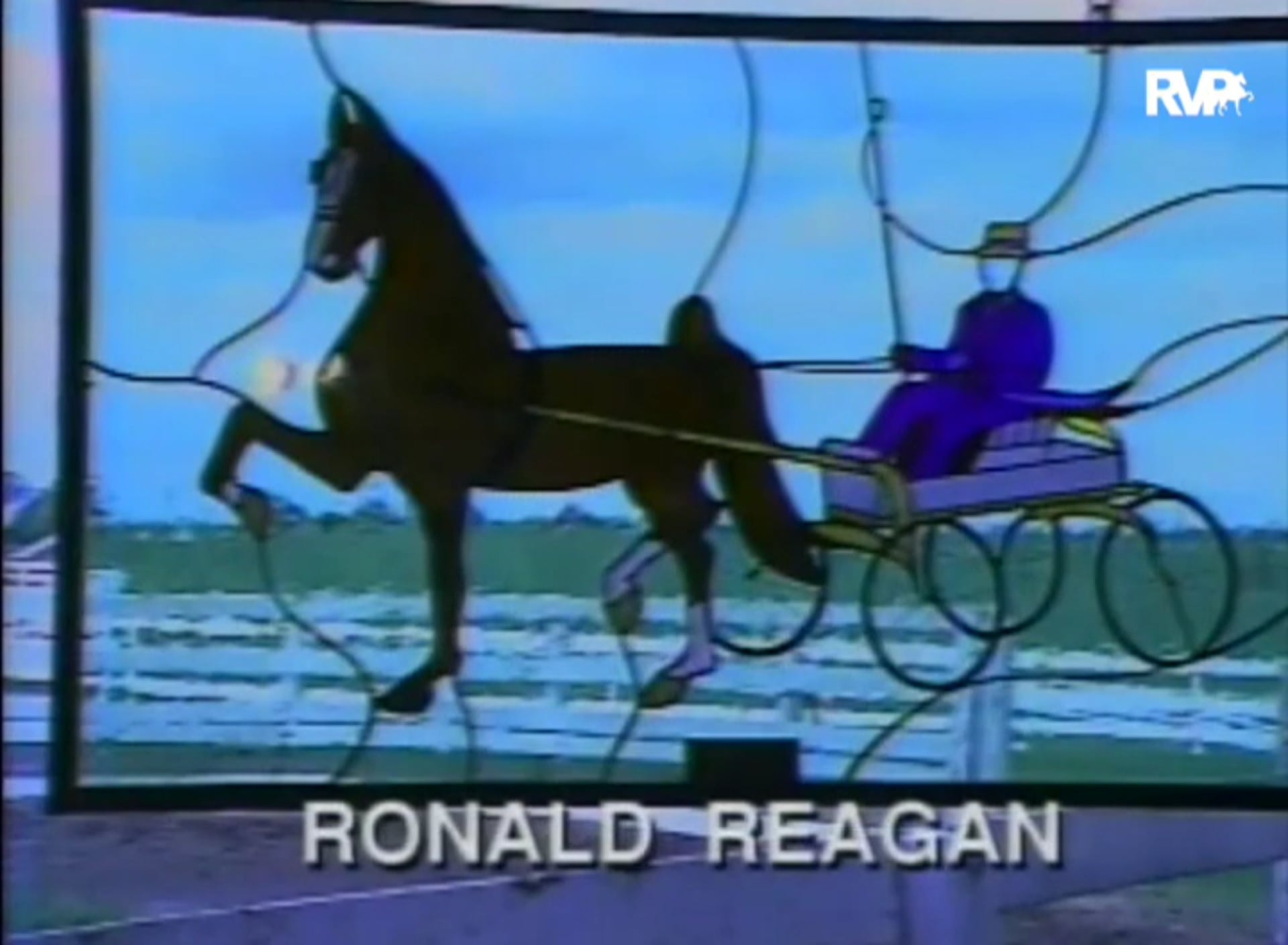 Looking Back at 1993 Robert Whitney's Induction Into the Hall of Fame